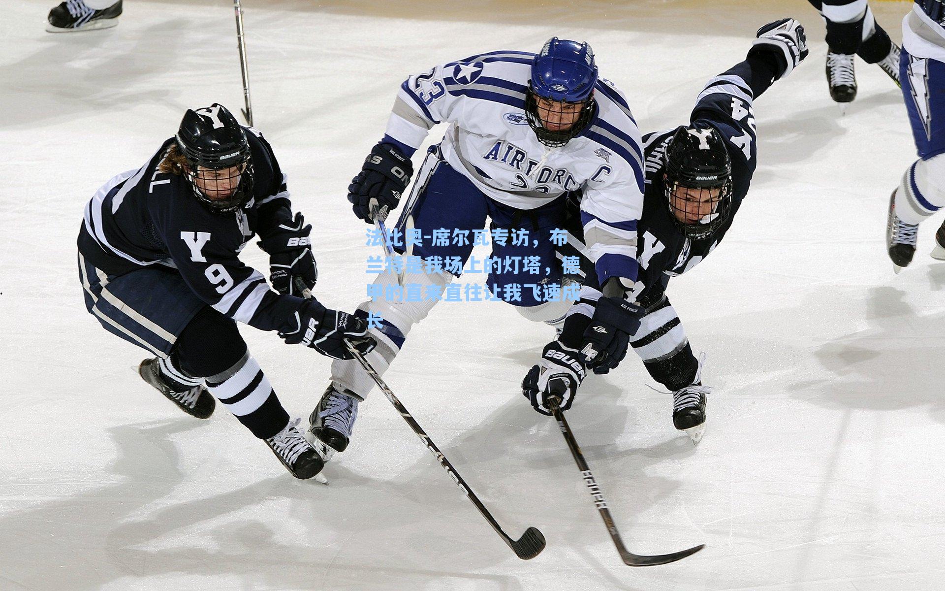 法比奥-席尔瓦专访，布兰特是我场上的灯塔，德甲的直来直往让我飞速成长